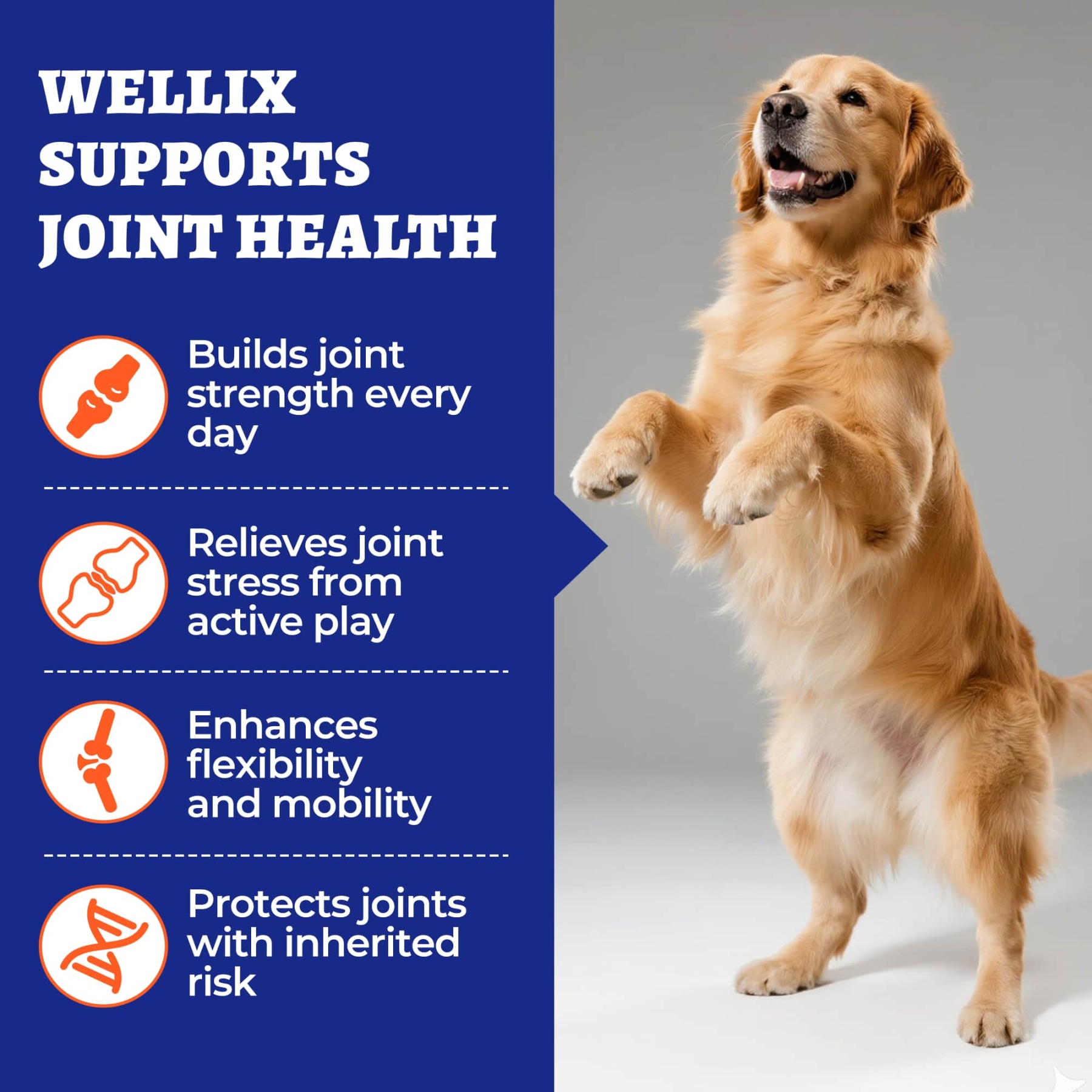 Wellix Dog Hip & Joint Bites – 260 Count Joint Supplement with Glucosamine, Chondroitin & MSM for Arthritis Pain Relief-CritterCorner