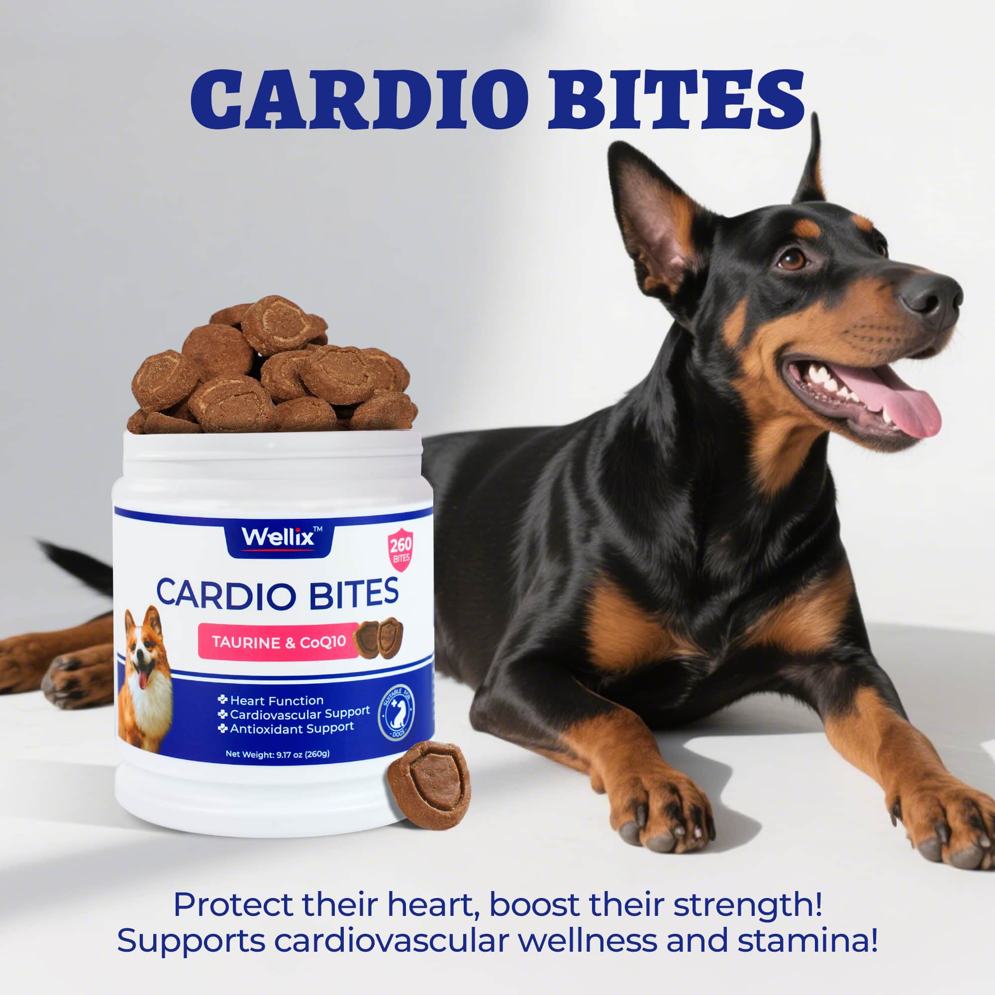 Wellix Cardio Bites for Dogs – 260 Counts with CoQ10, Taurine, Fish Oil & L-Carnitine, Supports Cardiovascular Health & Antioxidant-CritterCorner