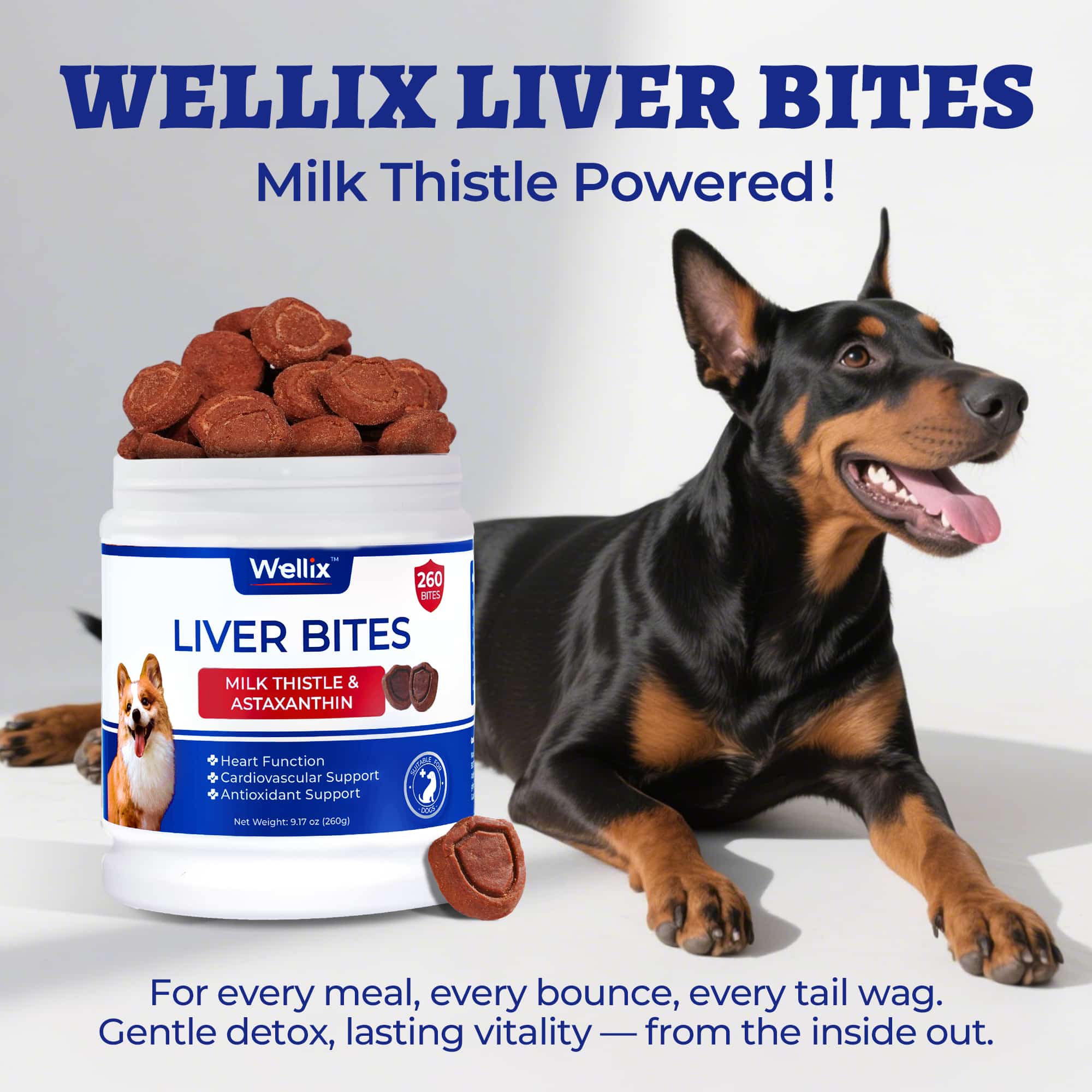Wellix Liver Support for Dogs - Milk Thistle & Omega-3 Dog Supplement for Liver, Heart & Antioxidant Support - Chicken Flavor - 260 Bites-CritterCorner