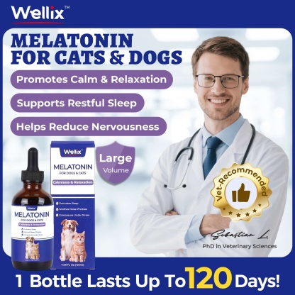 Wellix Bacon-Flavored Liquid Melatonin Drops for Dogs & Cats – 4 oz Calming Aid for Sleep, Stressful Events, Travel & Grooming-CritterCorner