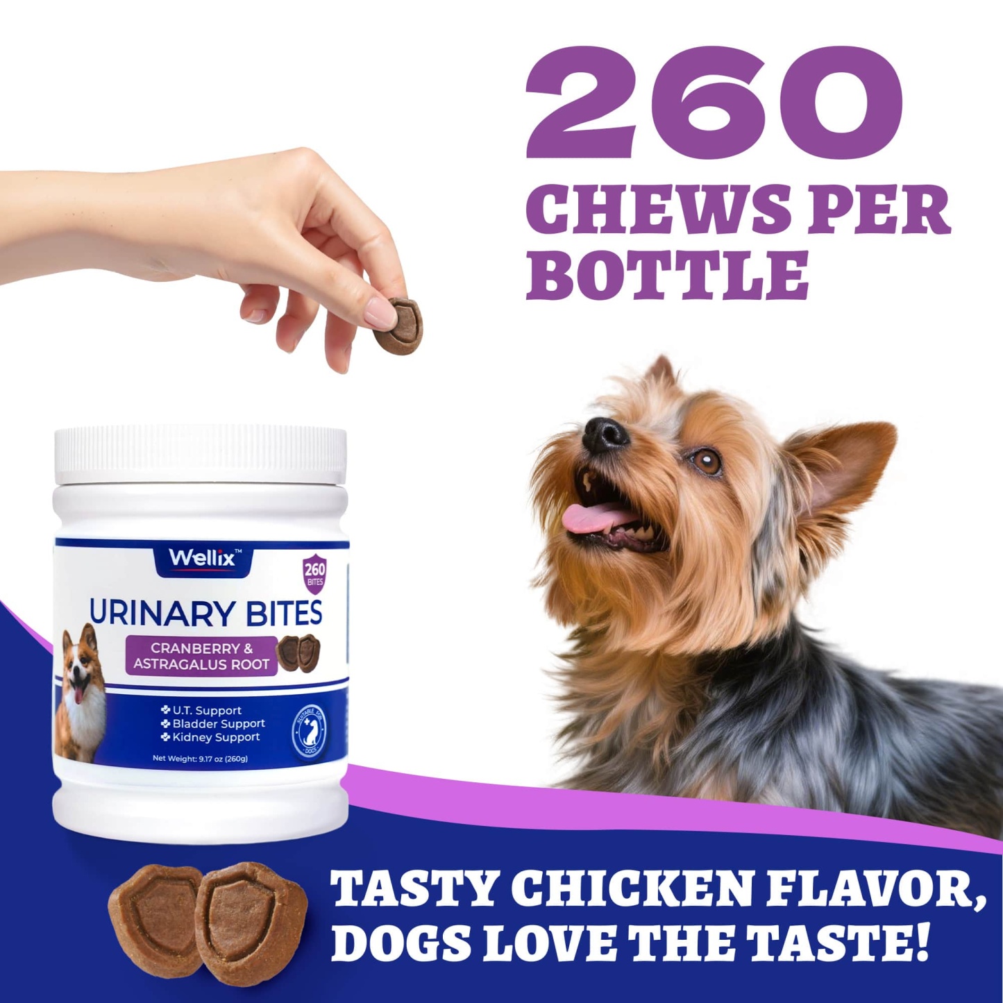 Wellix Urinary Bites for Dogs – 260 Count with Cranberry & D-Mannose for Urinary, Bladder & Kidney Support-CritterCorner
