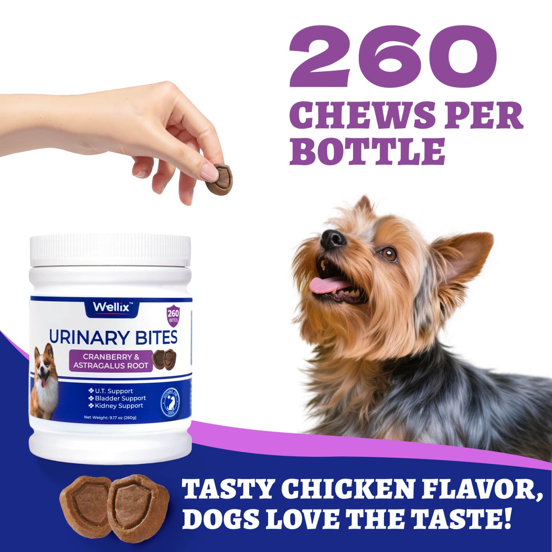 Wellix Urinary Bites for Dogs – 260 Count with Cranberry & D-Mannose for Urinary, Bladder & Kidney Support-CritterCorner