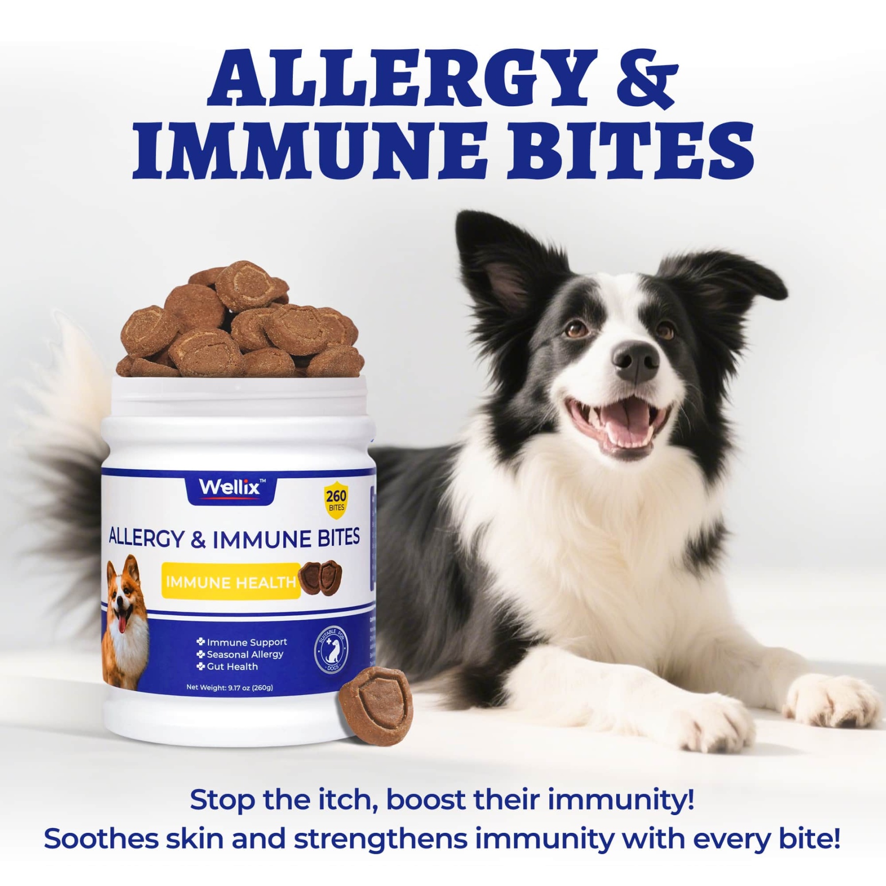 Wellix Dog Allergy & Immune Bites – 260 Counts Natural Ingredient Chews to Strengthen Immunity, Promote Shiny Coat, Relieve Itch & Redness-CritterCorner