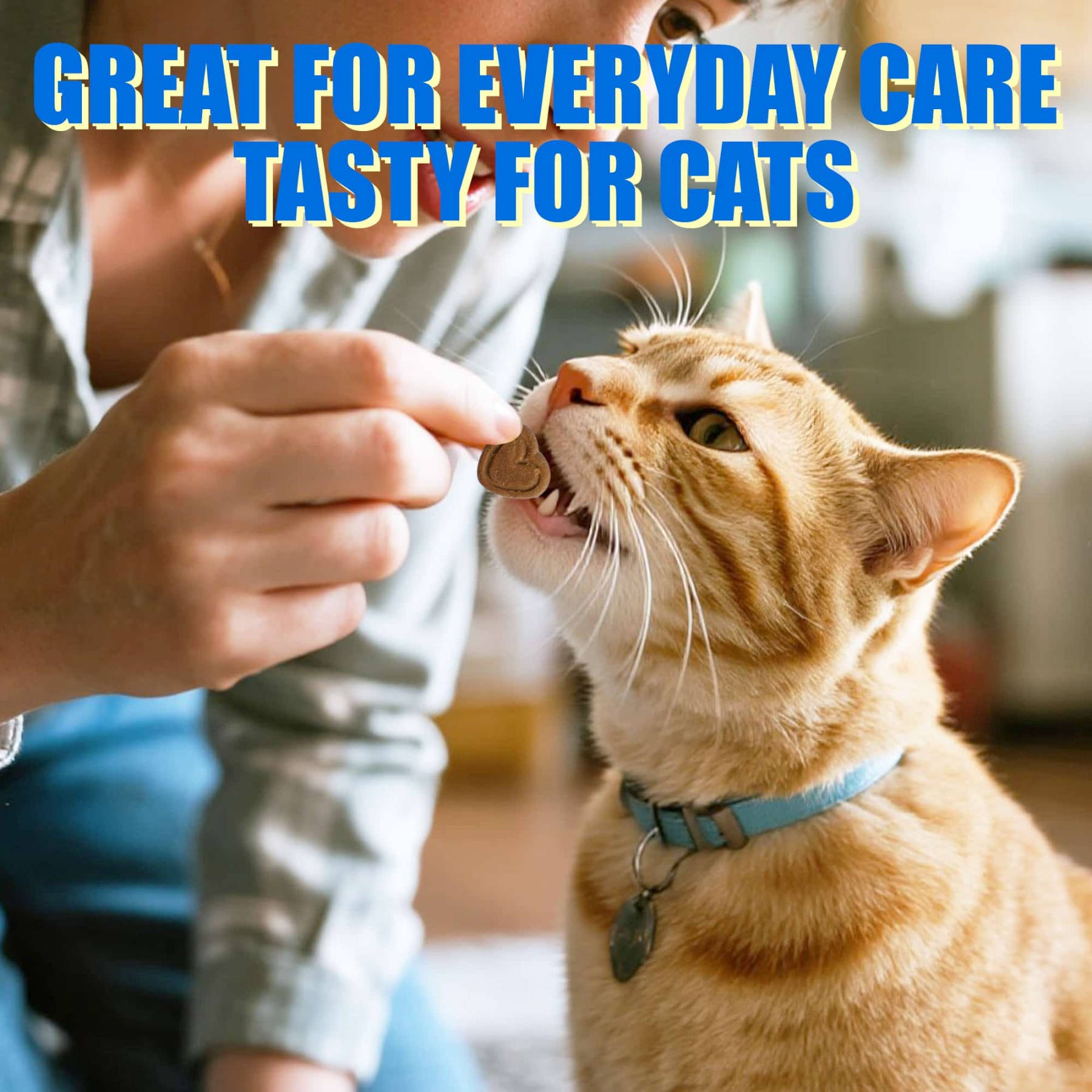 JUSTTRY Cat Urinary Tract Bites Cat Supplements – Cranberry & D-Mannose, Grain-Free Natural Snacks for Urinary Health & Cat Kidney Support, 6.35oz, 300 Bites-CritterCorner