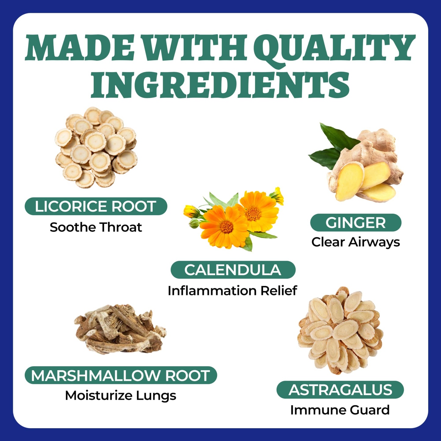 Wellix Kennel Cough Treatment Drops for Dogs & Cats - All Herbal Formula for Dog Cough, Sneezing & Cat Cold Relief - Bacon Flavor 120ml-CritterCorner