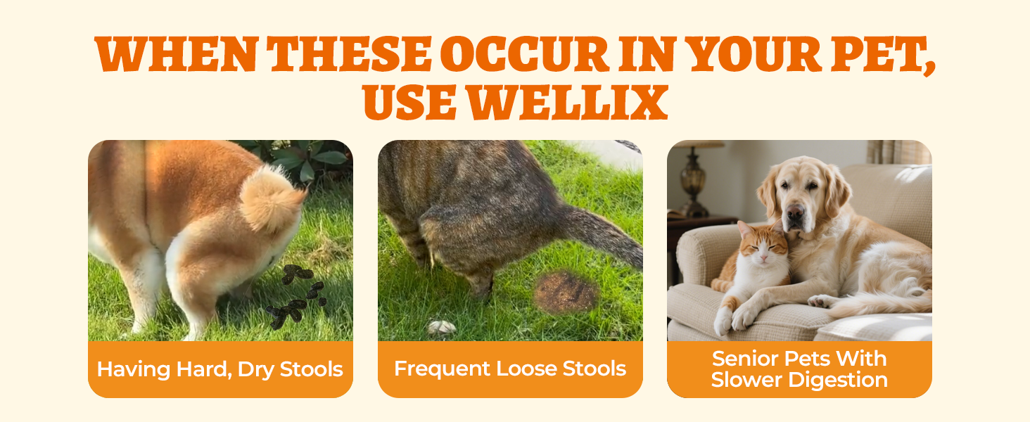 pumpkin powder for cats