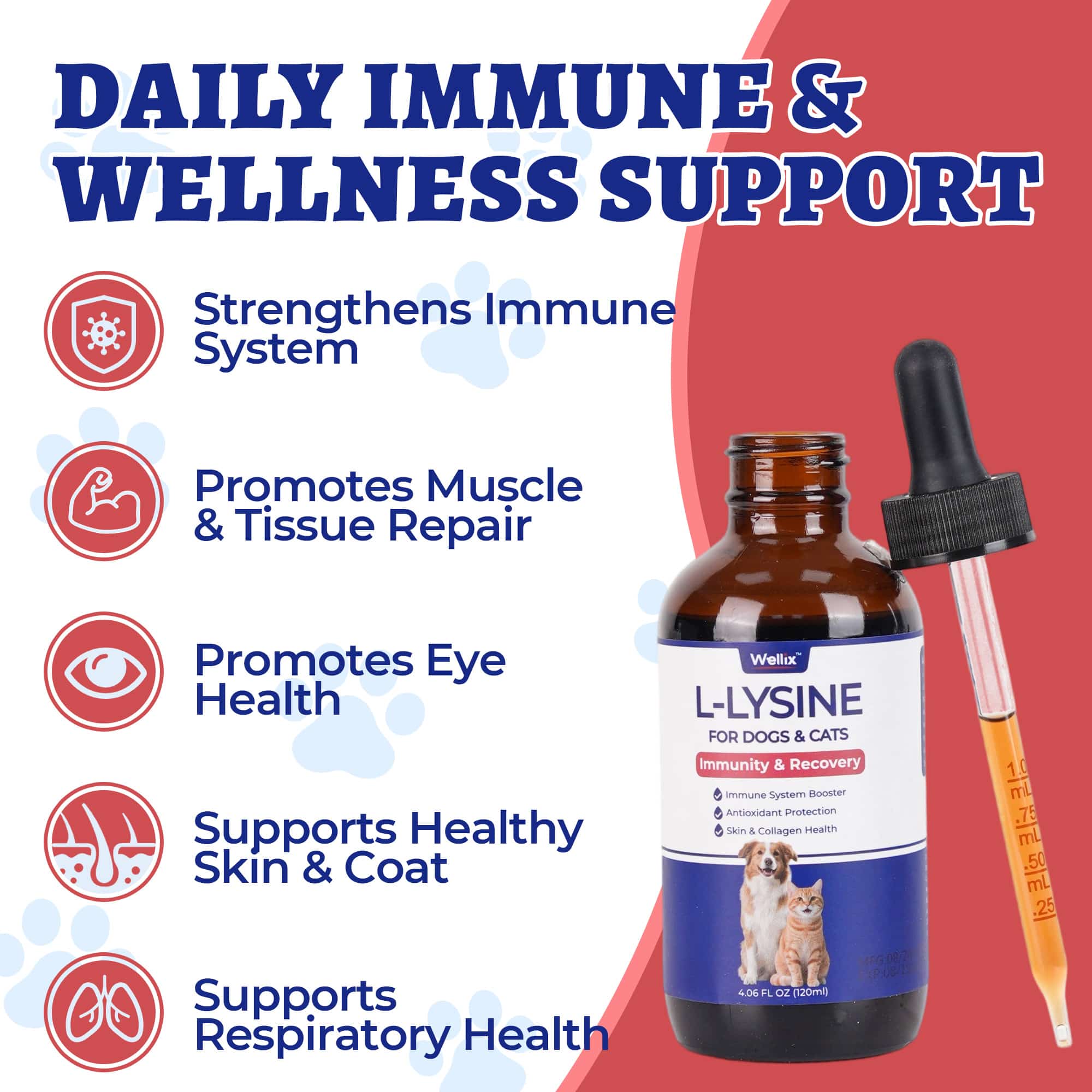 Wellix L-Lysine Drops for Cats & Dogs – 4 oz Chicken Flavor, Immune & Respiratory Support, Eye Care, Runny Nose & Cold Relief-CritterCorner