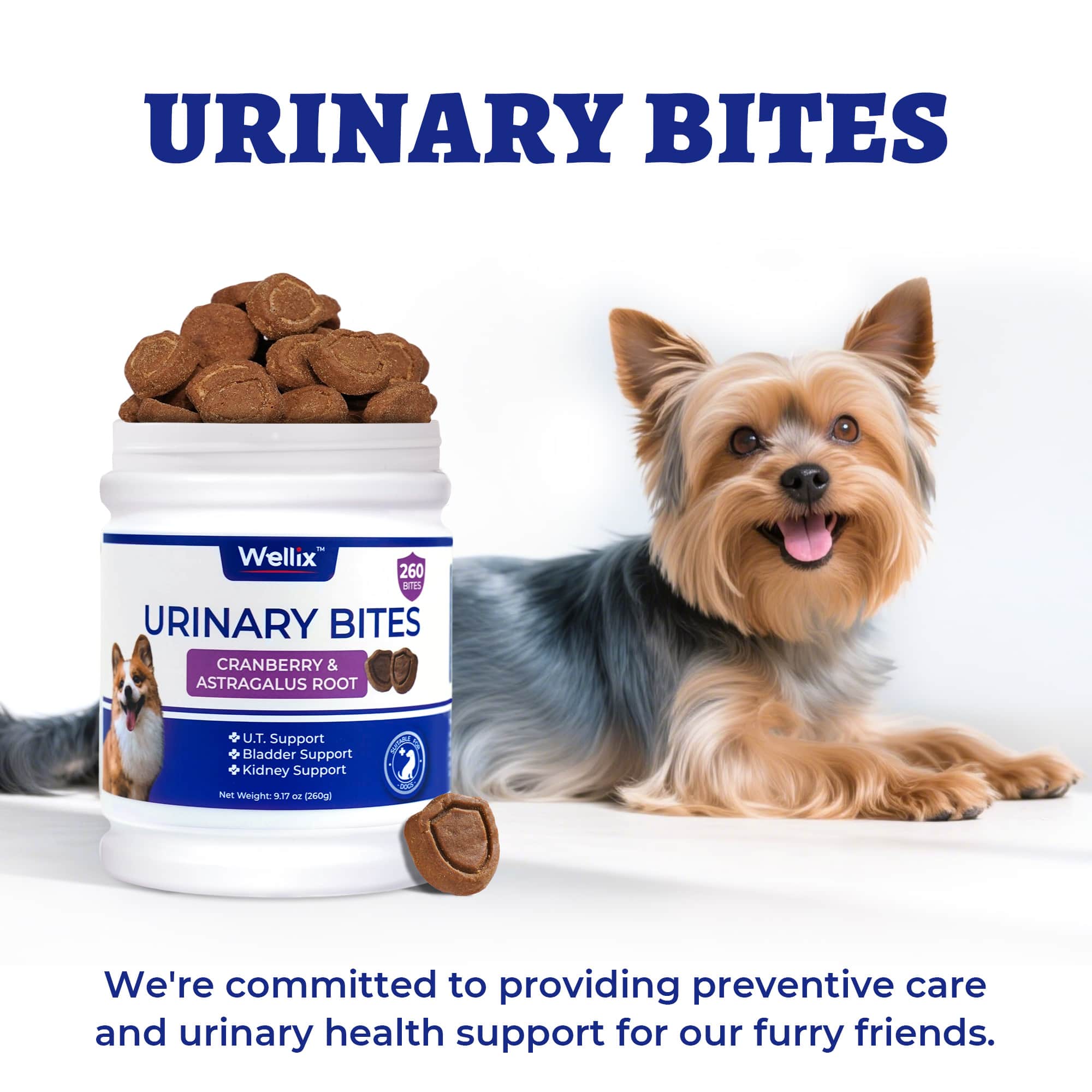 Wellix Urinary Bites for Dogs – 260 Count with Cranberry & D-Mannose for Urinary, Bladder & Kidney Support-CritterCorner
