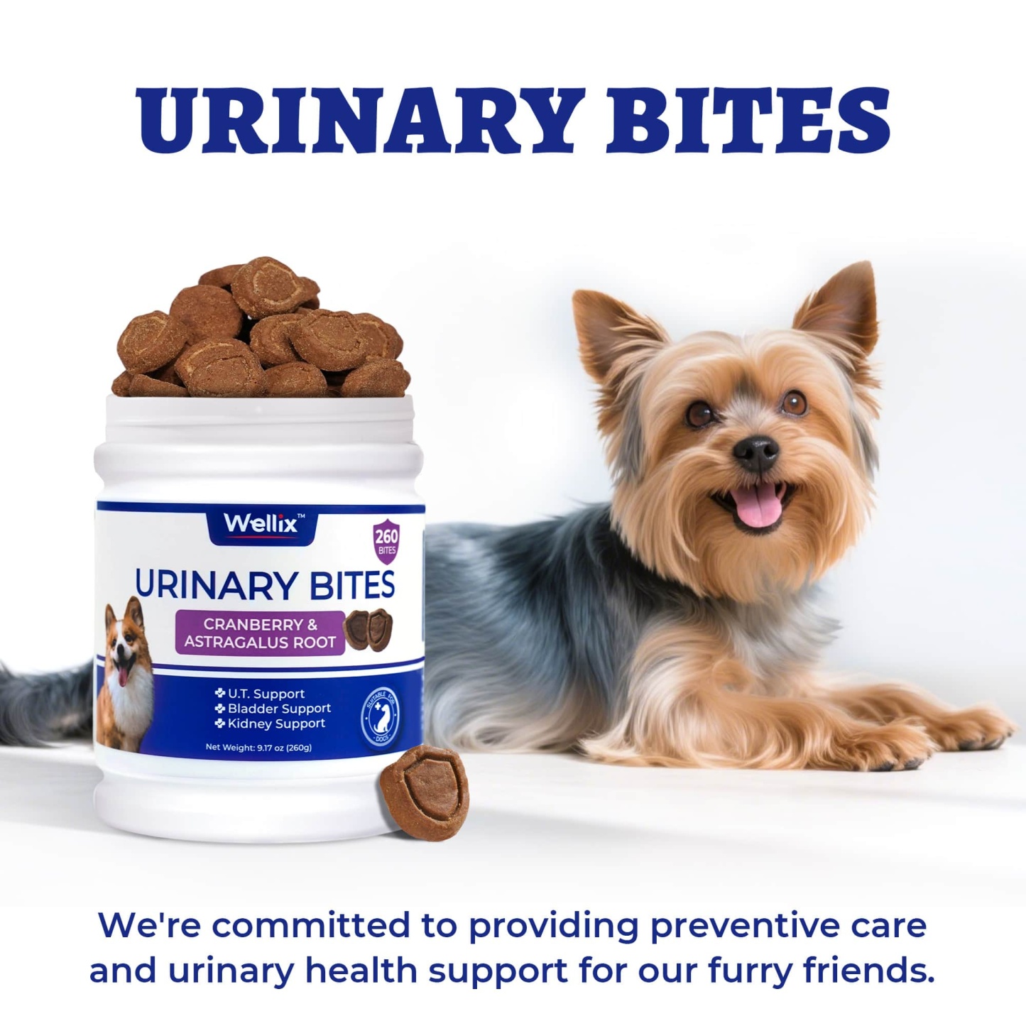 Wellix Urinary Bites for Dogs – 260 Count with Cranberry & D-Mannose for Urinary, Bladder & Kidney Support-CritterCorner