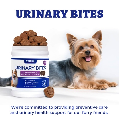 Wellix Urinary Bites for Dogs – 260 Count with Cranberry & D-Mannose for Urinary, Bladder & Kidney Support-CritterCorner