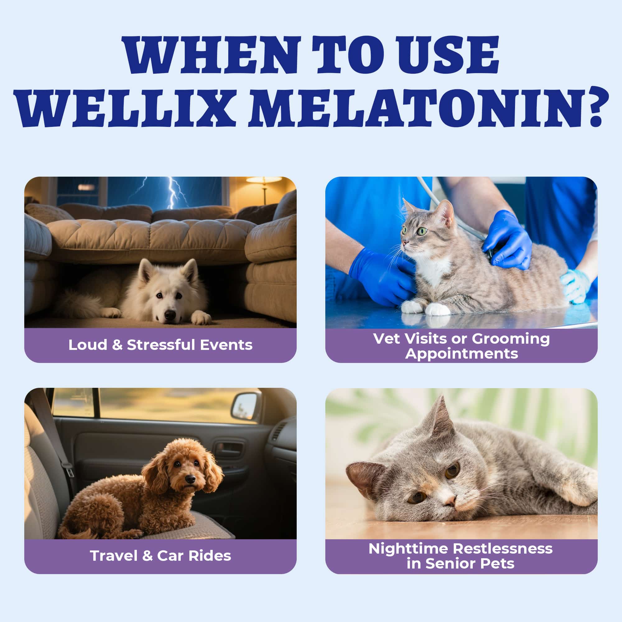 Wellix Bacon-Flavored Liquid Melatonin Drops for Dogs & Cats – 4 oz Calming Aid for Sleep, Stressful Events, Travel & Grooming-CritterCorner