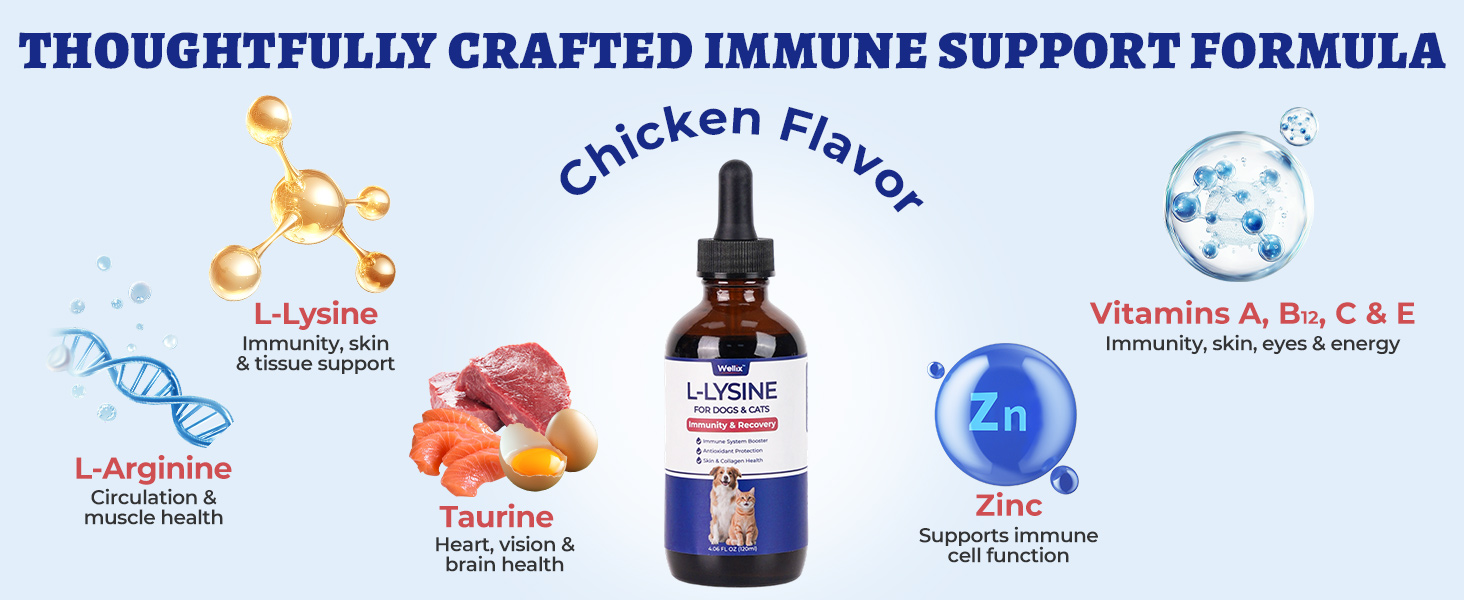 l-lysine for cats