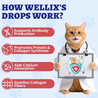 Wellix L-Lysine Drops for Cats & Dogs – 4 oz Chicken Flavor, Immune & Respiratory Support, Eye Care, Runny Nose & Cold Relief-CritterCorner