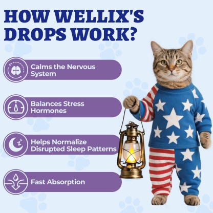 Wellix Bacon-Flavored Liquid Melatonin Drops for Dogs & Cats – 4 oz Calming Aid for Sleep, Stressful Events, Travel & Grooming-CritterCorner