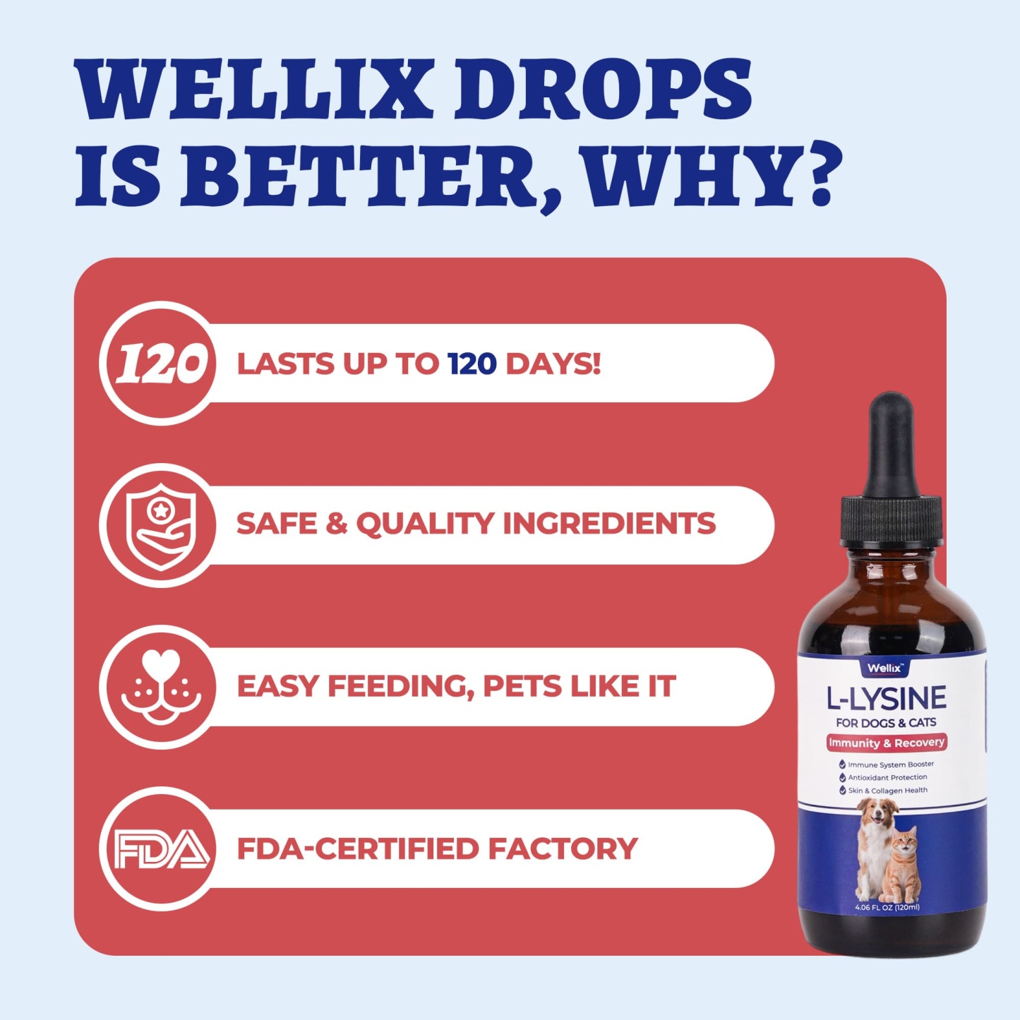Wellix L-Lysine Drops for Cats & Dogs – 4 oz Chicken Flavor, Immune & Respiratory Support, Eye Care, Runny Nose & Cold Relief-CritterCorner