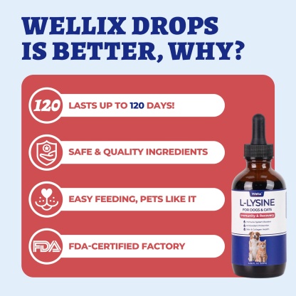 Wellix L-Lysine Drops for Cats & Dogs – 4 oz Chicken Flavor, Immune & Respiratory Support, Eye Care, Runny Nose & Cold Relief-CritterCorner