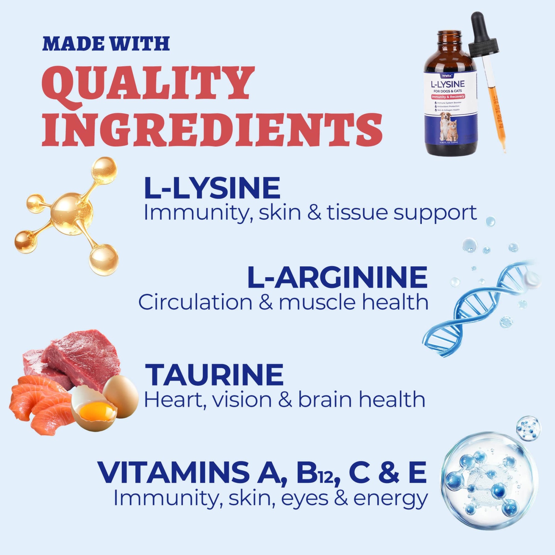 Wellix L-Lysine Drops for Cats & Dogs – 4 oz Chicken Flavor, Immune & Respiratory Support, Eye Care, Runny Nose & Cold Relief-CritterCorner