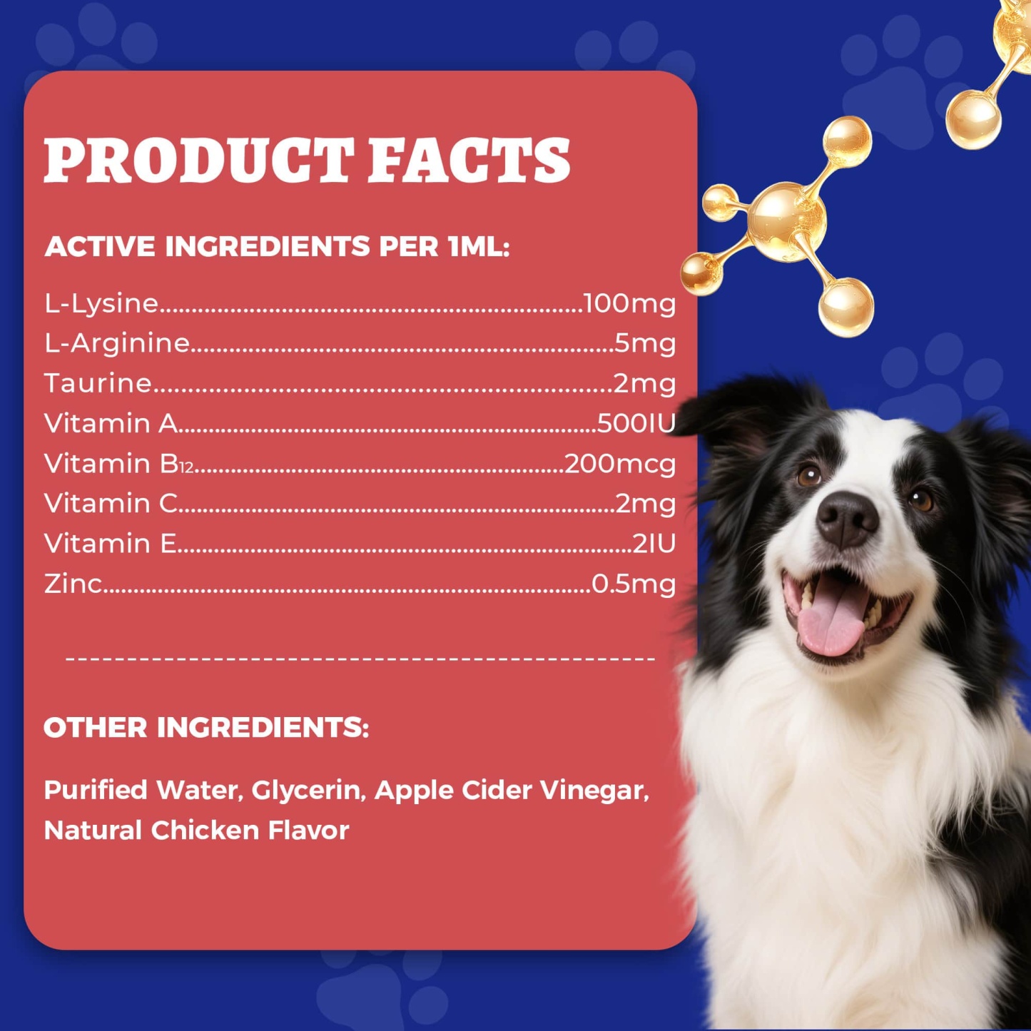 Wellix L-Lysine Drops for Cats & Dogs – 4 oz Chicken Flavor, Immune & Respiratory Support, Eye Care, Runny Nose & Cold Relief-CritterCorner
