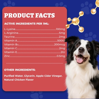 Wellix L-Lysine Drops for Cats & Dogs – 4 oz Chicken Flavor, Immune & Respiratory Support, Eye Care, Runny Nose & Cold Relief-CritterCorner