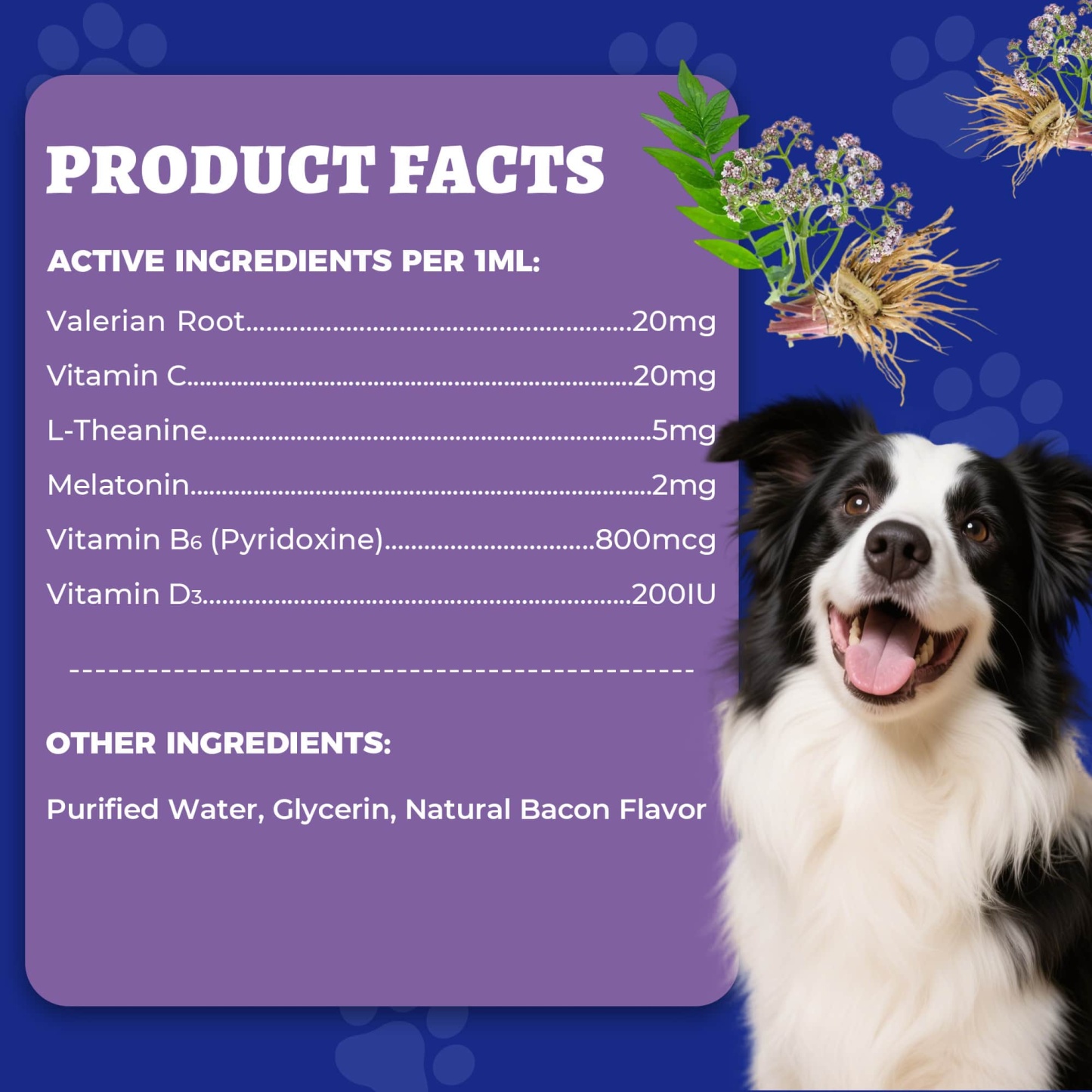 Wellix Bacon-Flavored Liquid Melatonin Drops for Dogs & Cats – 4 oz Calming Aid for Sleep, Stressful Events, Travel & Grooming-CritterCorner