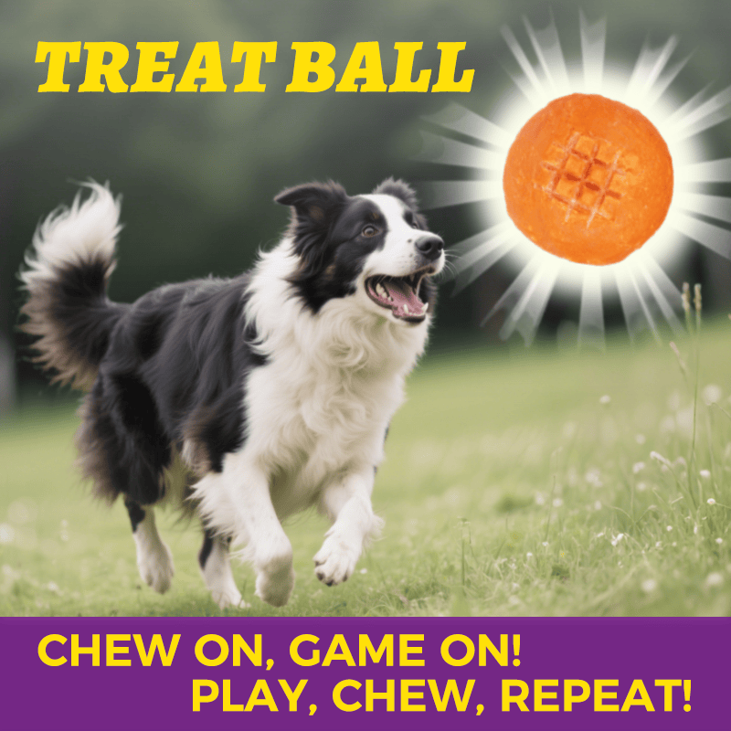 Wellix Handmade Beef Hide Treat Ball – 5.23oz (150g) Natural Beef & Chicken Chew for Dogs, Durable & Dental Health-CritterCorner