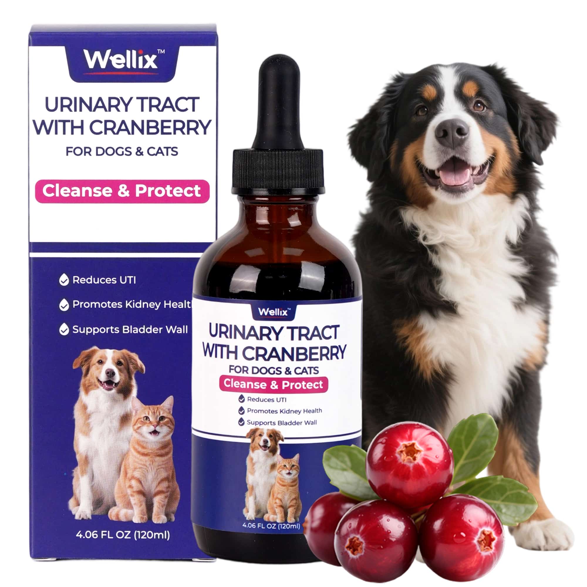 Wellix UrinaryTract Drops with Cranberry for Cats & Dogs – 4 oz Cranberry & D-Mannose for Urinary, Bladder & Kidney Health-CritterCorner