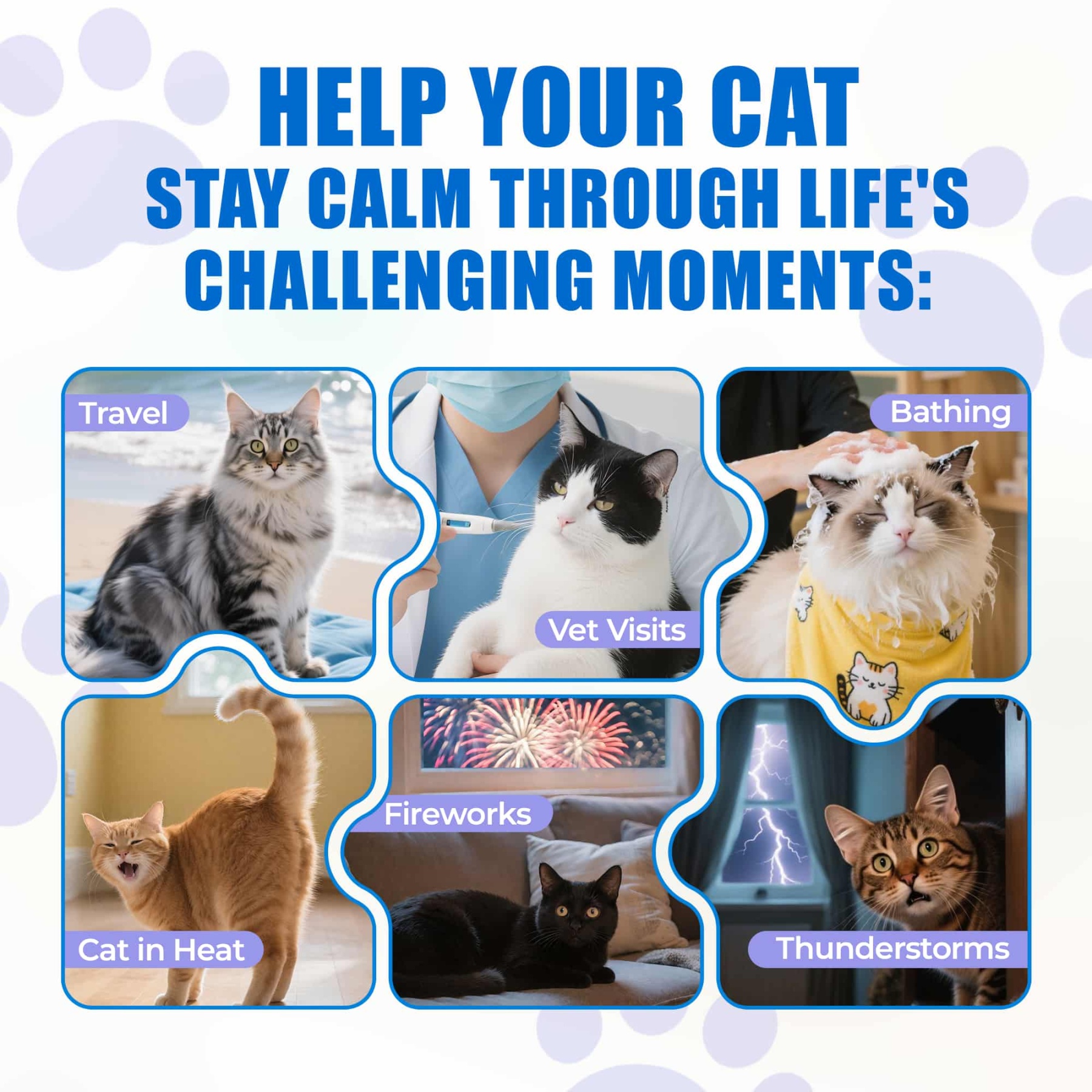 JUSTTRY Cat Calming Treats Cat Supplements – Chicken Flavor with Chamomile, L-Tryptophan & Melatonin for Anxiety & Sleep, 300 Bites, 6.35oz-CritterCorner