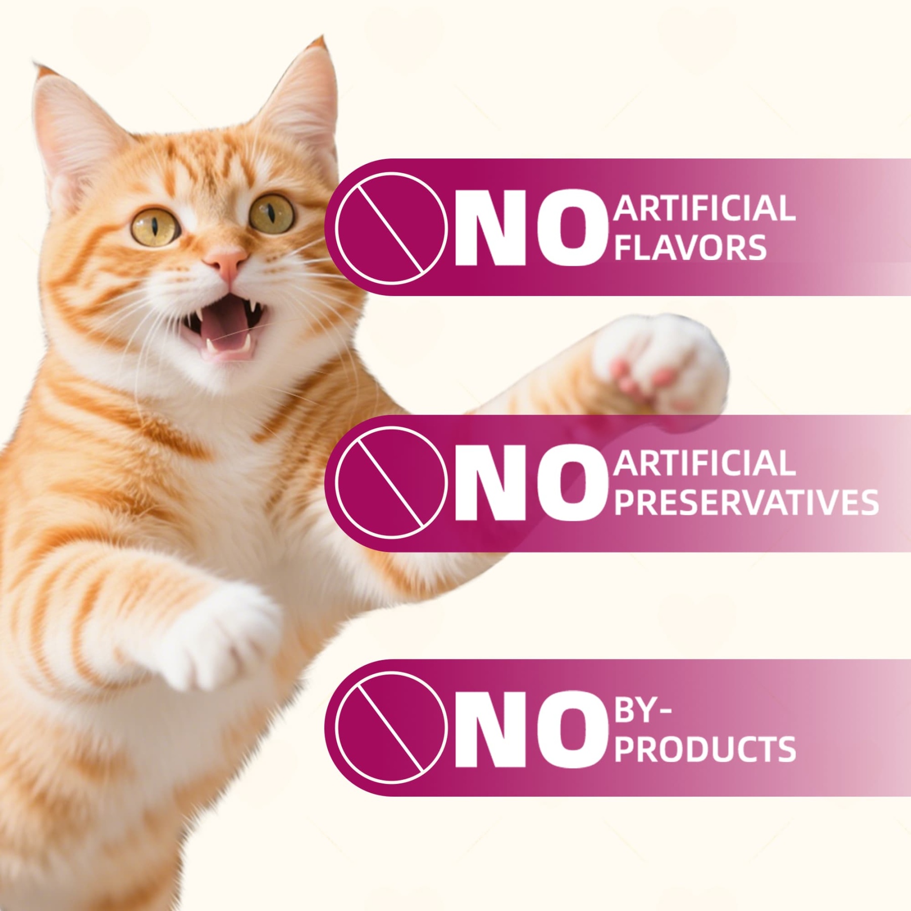 Wellix Freeze-Dried Probiotic Yogurt Cat Treats – 4.23oz (120g) Chicken & Berry Blend (Strawberry, Blueberry, Cranberry) for Immune, Eye & Urinary Health-CritterCorner