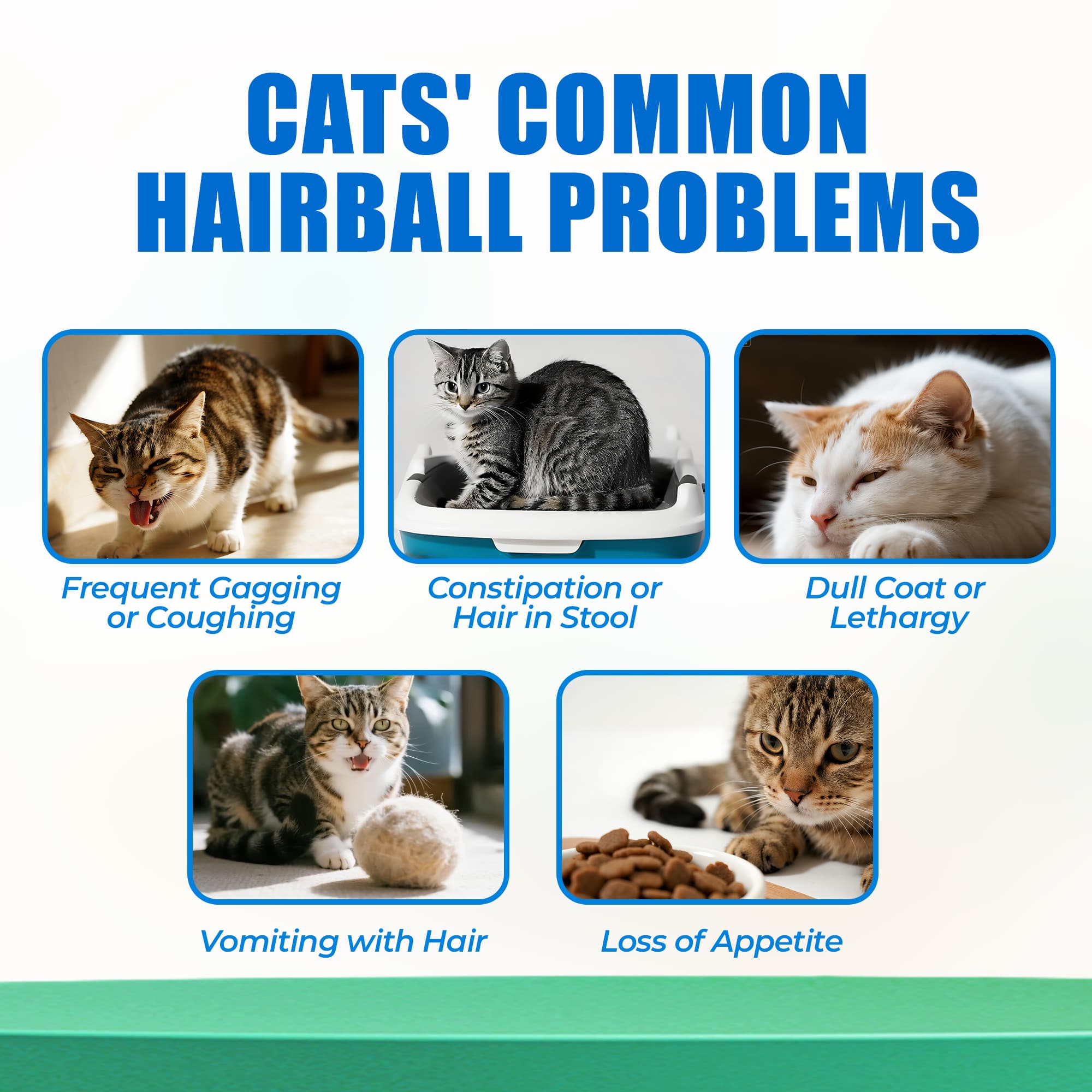 JUSTTRY Hairballs Control Bites  – Cat Grass & Chicken & Pumpkin Flavor with Omega-3 for Hairball Relief & Digestion, 300 Bites-CritterCorner