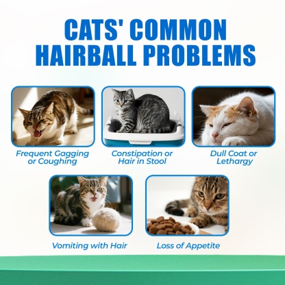 JUSTTRY Hairballs Control Bites  – Cat Grass & Chicken & Pumpkin Flavor with Omega-3 for Hairball Relief & Digestion, 300 Bites-CritterCorner