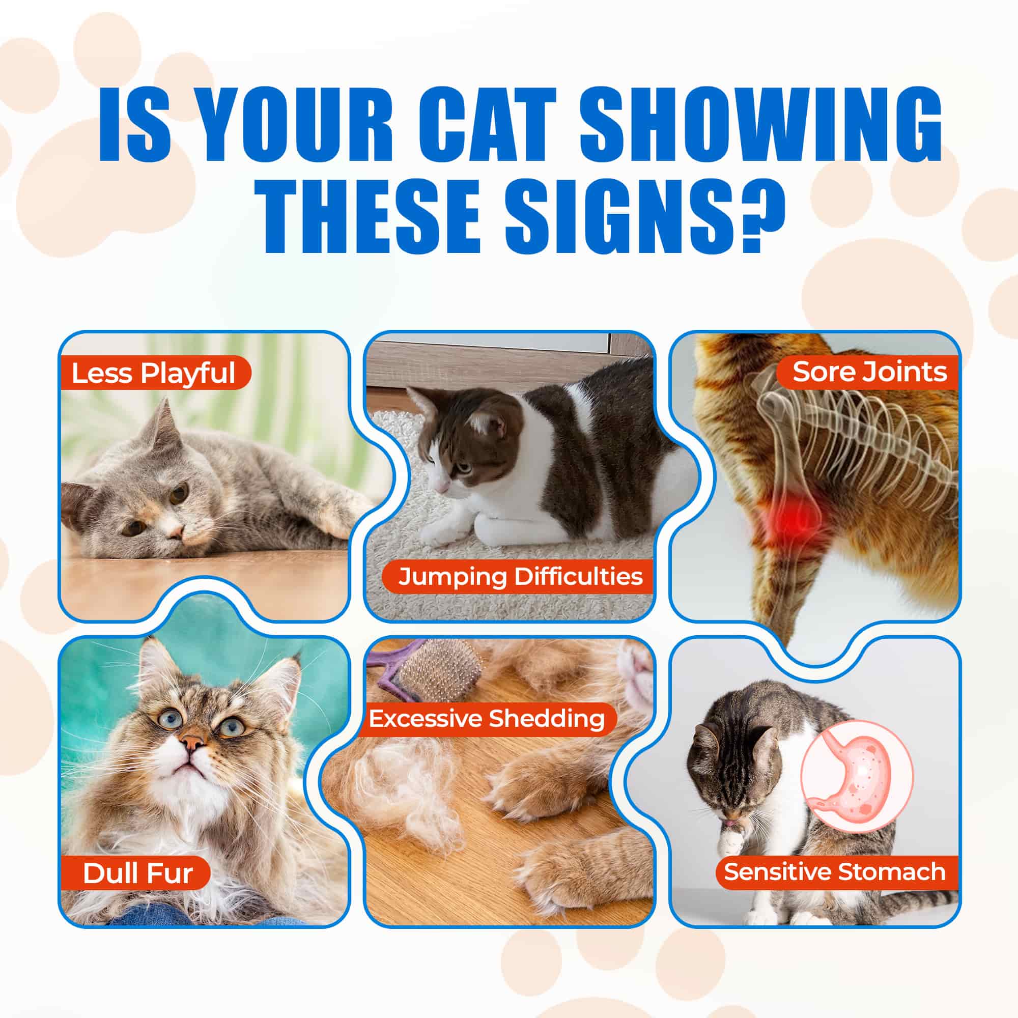 JUST TRY Cat Collagen Supplements – Glucosamine & Chondroitin Joint Health Supplements For Cats, Chicken-Flavored, 6.35oz， 300 Bites-CritterCorner