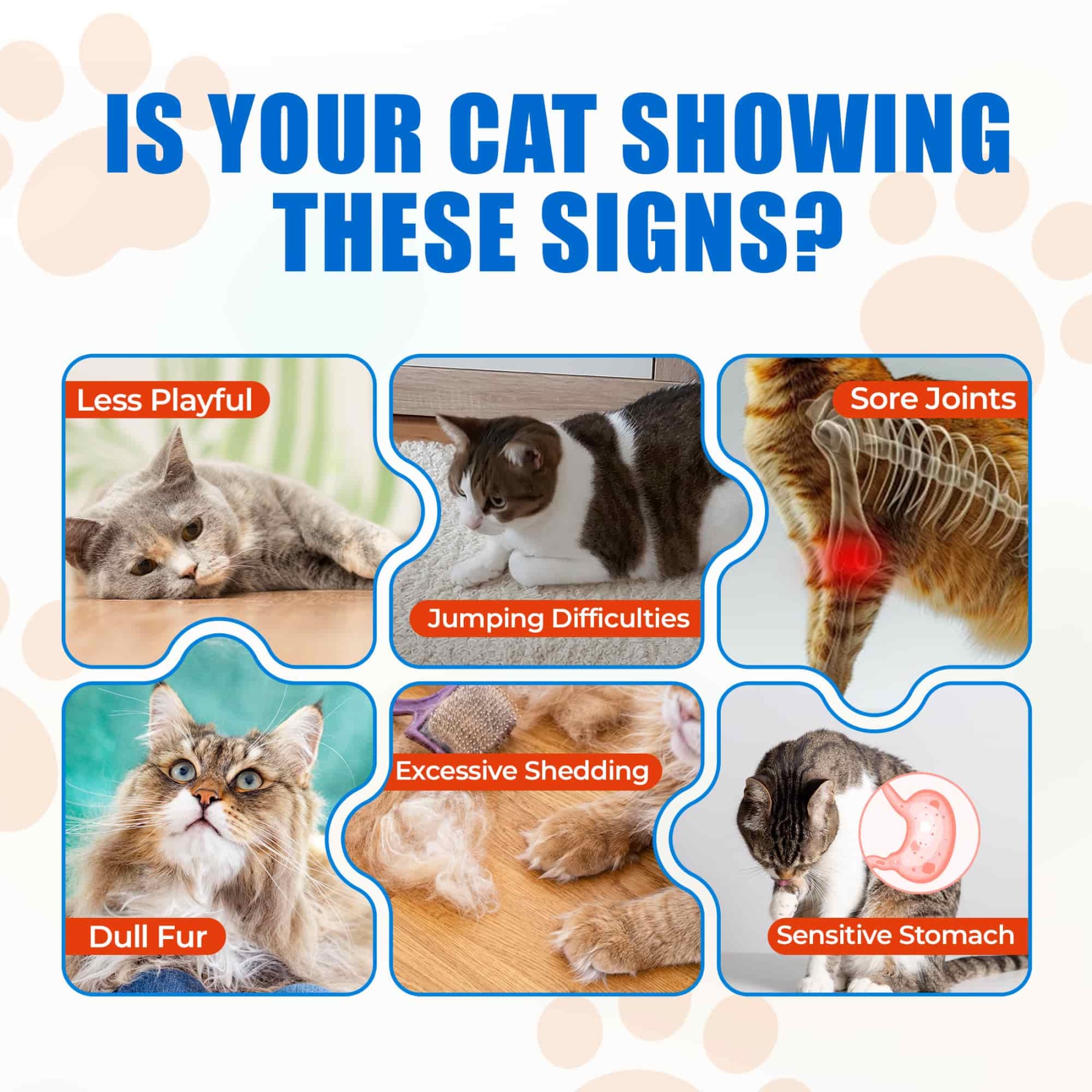 JUST TRY Cat Collagen Supplements – Glucosamine & Chondroitin Joint Health Supplements For Cats, Chicken-Flavored, 6.35oz， 300 Bites-CritterCorner