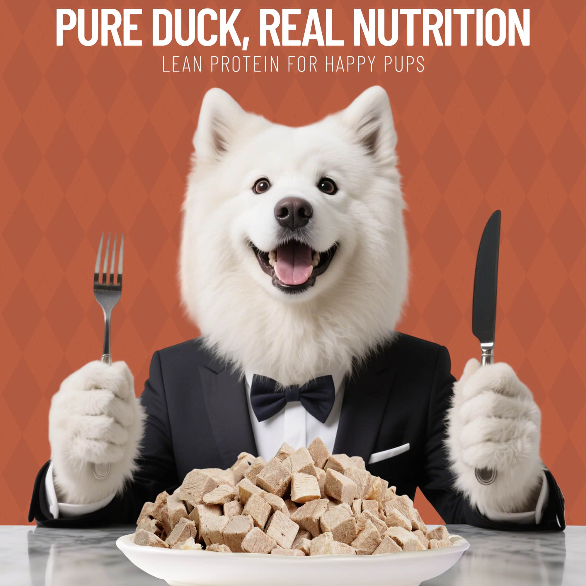 JUSTTRY Freeze-Dried Duck Cubes – Single-Ingredient Grain-Free High-Protein Training Treats for Dogs & Cats, Supports Skin & Joint Health，6.35oz-CritterCorner