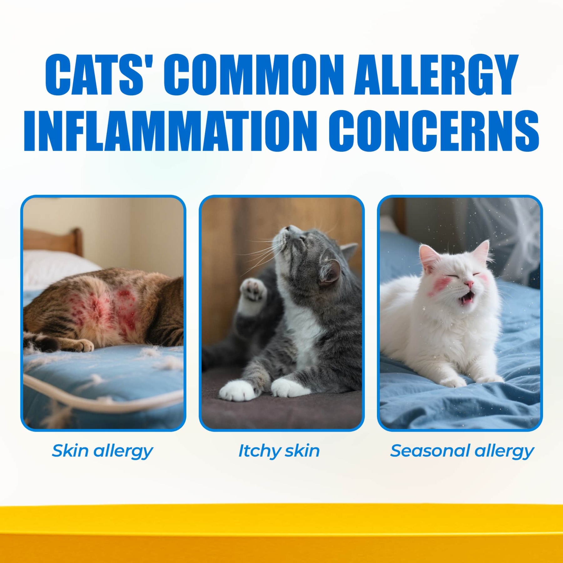 JUSTTRY Cat Allergy & Immune Bites Cat Supplements – Chicken Flavor with L-Lysine For Cats for Itchy Skin Relief & Immune Support, 6.35oz, 300 Bites-CritterCorner