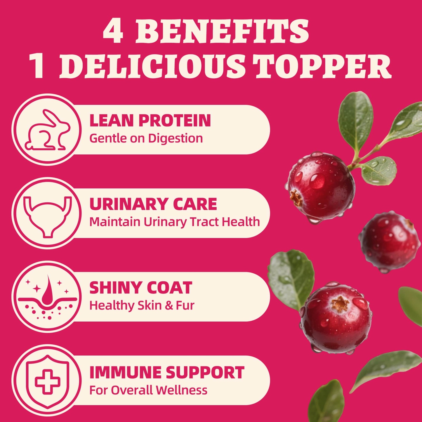 Wellix Rabbit & Cranberry Freeze-Dried Treats for Cats & Dogs – Hypoallergenic, Grain-Free Treats for Cat Bladder, Kidney & UTI Support-CritterCorner