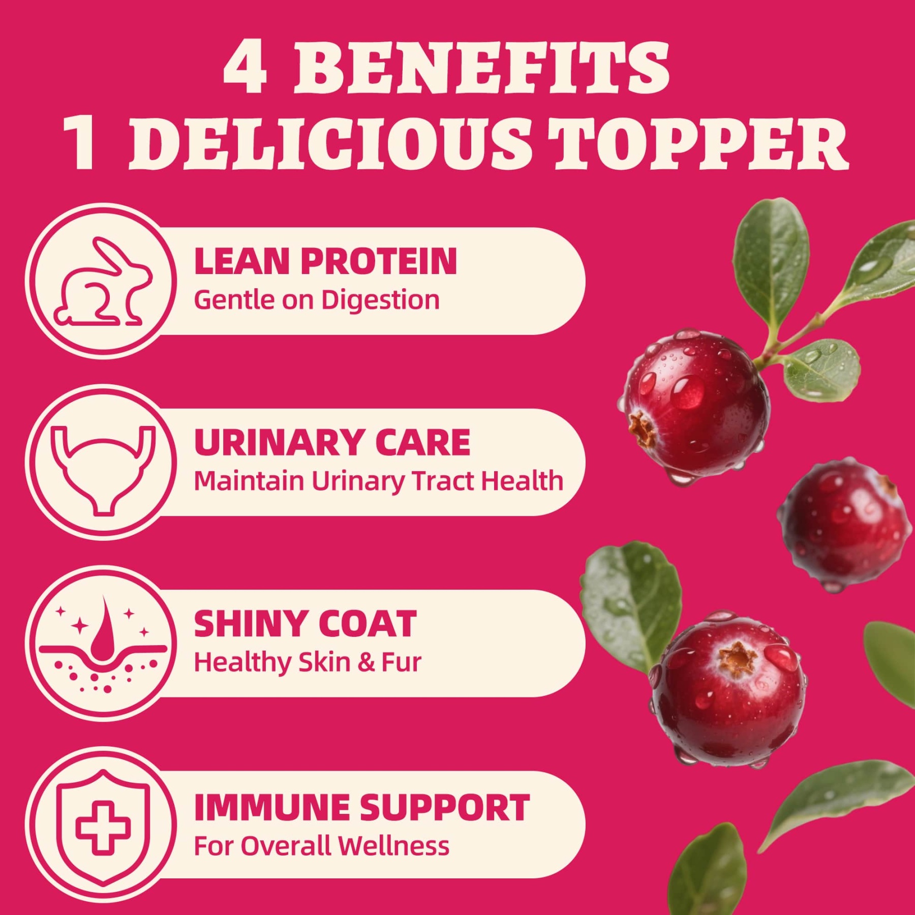 Wellix Rabbit & Cranberry Freeze-Dried Treats for Cats & Dogs – Hypoallergenic, Grain-Free Treats for Cat Bladder, Kidney & UTI Support-CritterCorner