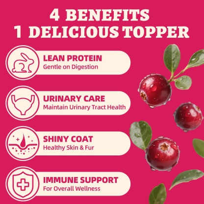 Wellix Rabbit & Cranberry Freeze-Dried Treats for Cats & Dogs – Hypoallergenic, Grain-Free Treats for Cat Bladder, Kidney & UTI Support-CritterCorner