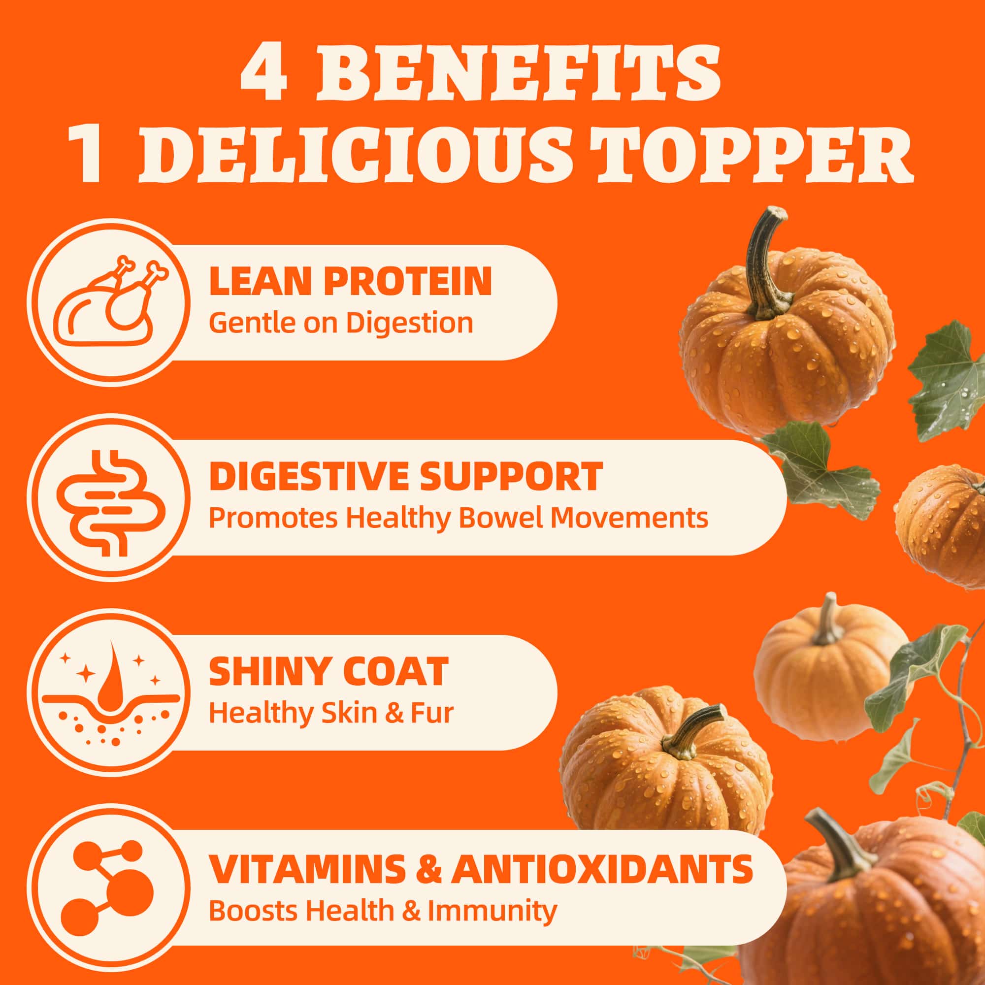 Wellix Chicken & Pumpkin Freeze-Dried Treats for Cats & Dogs – Grain-Free Crunchy Food Topper & Training Snacks, Supports Gut Health & Digestive System-CritterCorner