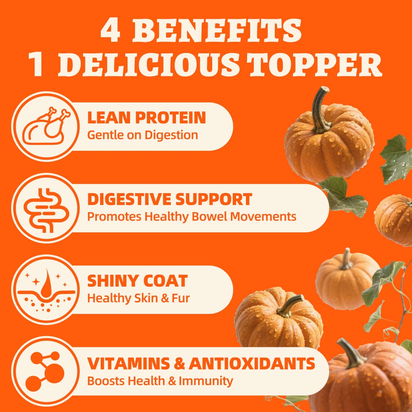 Wellix Chicken & Pumpkin Freeze-Dried Treats for Cats & Dogs – Grain-Free Crunchy Food Topper & Training Snacks, Supports Gut Health & Digestive System-CritterCorner