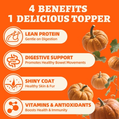 Wellix Chicken & Pumpkin Freeze-Dried Treats for Cats & Dogs – Grain-Free Crunchy Food Topper & Training Snacks, Supports Gut Health & Digestive System-CritterCorner