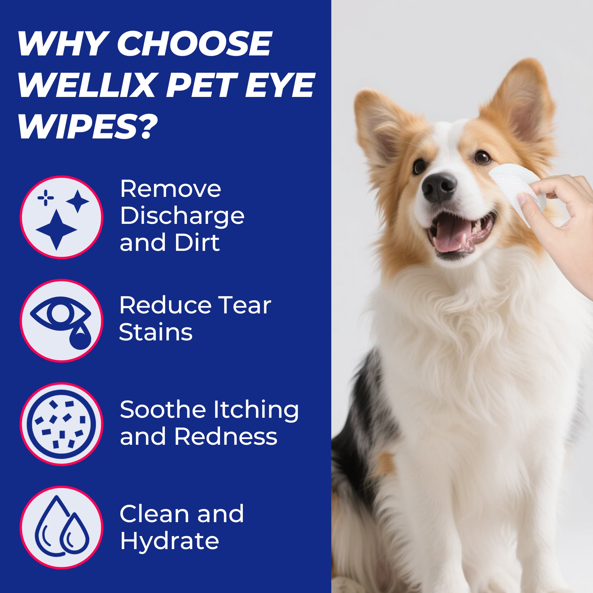 Wellix Pet Eye Wipes – 110 Wipes for Tear Stain, Debris & Discharge Cleaning-CritterCorner
