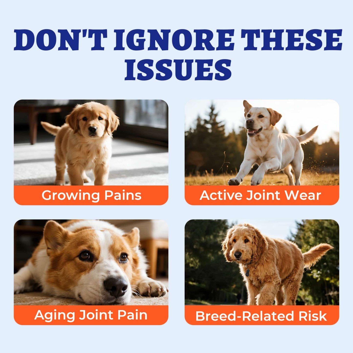 Wellix Dog Hip & Joint Bites – 260 Count Joint Supplement with Glucosamine, Chondroitin & MSM for Arthritis Pain Relief-CritterCorner