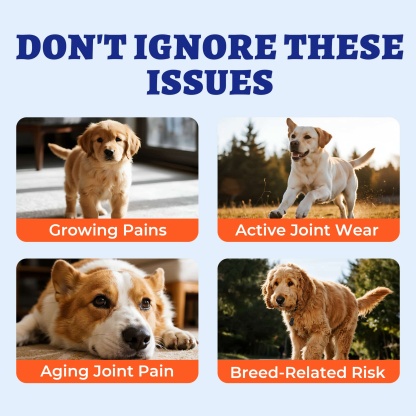 Wellix Dog Hip & Joint Bites – 260 Count Joint Supplement with Glucosamine, Chondroitin & MSM for Arthritis Pain Relief-CritterCorner