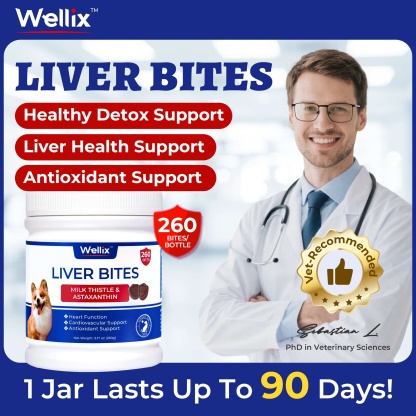 Wellix Liver Support for Dogs - Milk Thistle & Omega-3 Dog Supplement for Liver, Heart & Antioxidant Support - Chicken Flavor - 260 Bites-CritterCorner