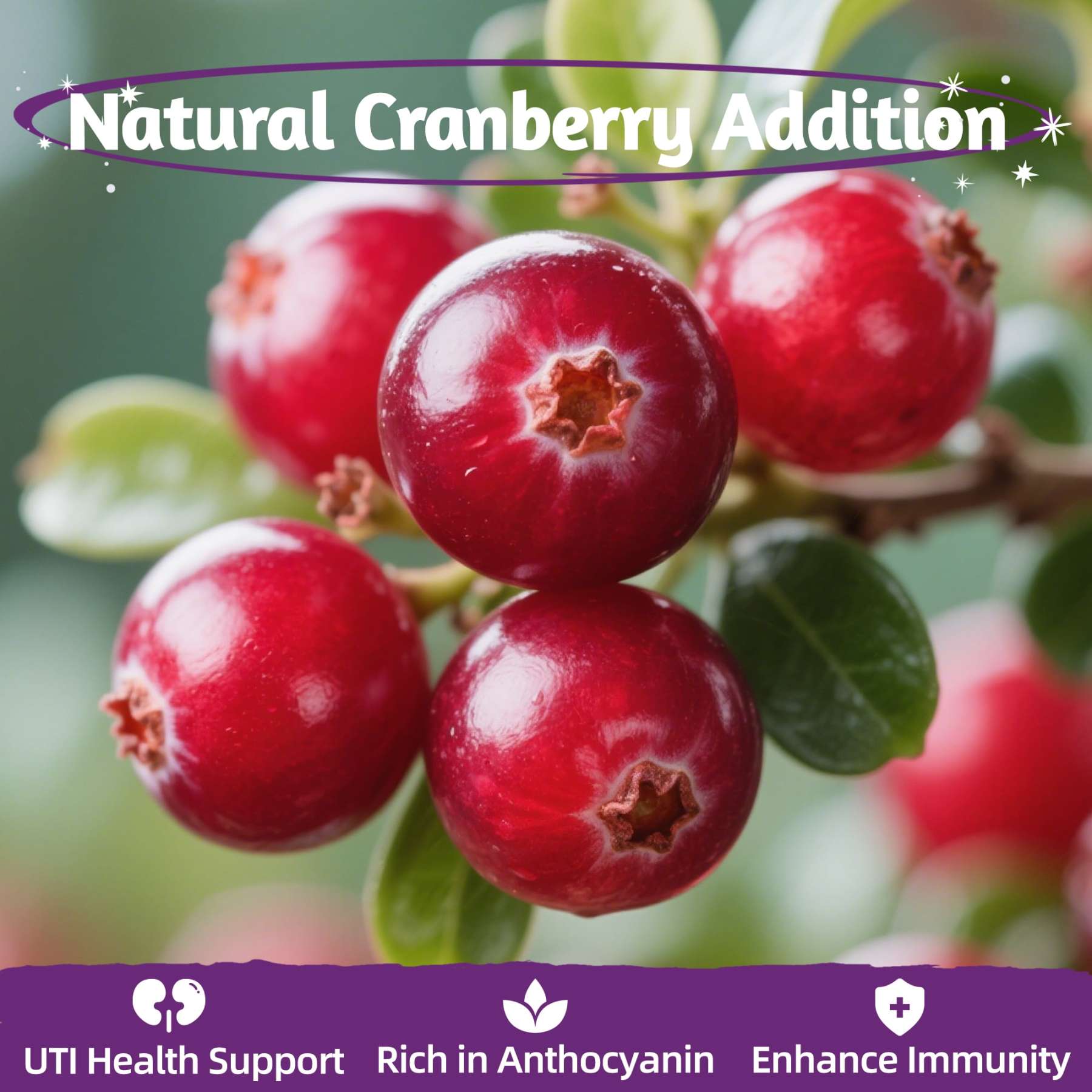 JUSTTRY Cranberry Freeze-Dried Food Toppers – Chicken,  Egg Yolk, Cranberry, High-Protein for Kidney Bladder UT Support For Dogs & Cats, 8oz-CritterCorner