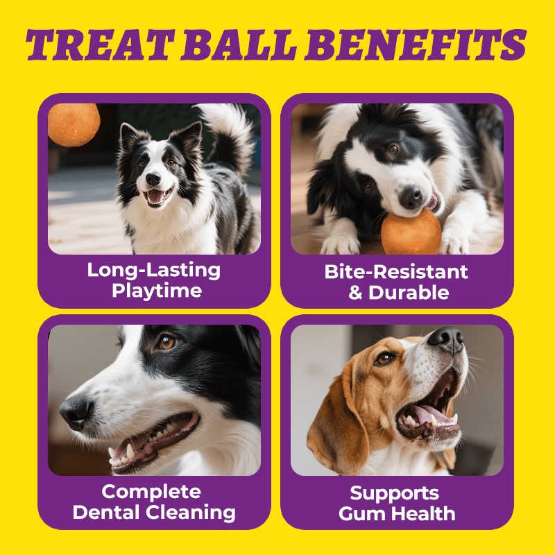 Wellix Handmade Beef Hide Treat Ball – 5.23oz (150g) Natural Beef & Chicken Chew for Dogs, Durable & Dental Health-CritterCorner