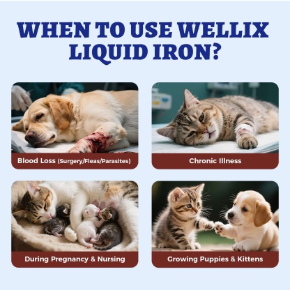 Wellix Liquid Iron Supplement for Cats & Dogs – 4 oz Vitamin B12 & C for Anemia, Hemoglobin Boost & Energy Support, for Growing Puppies and Kittens-CritterCorner
