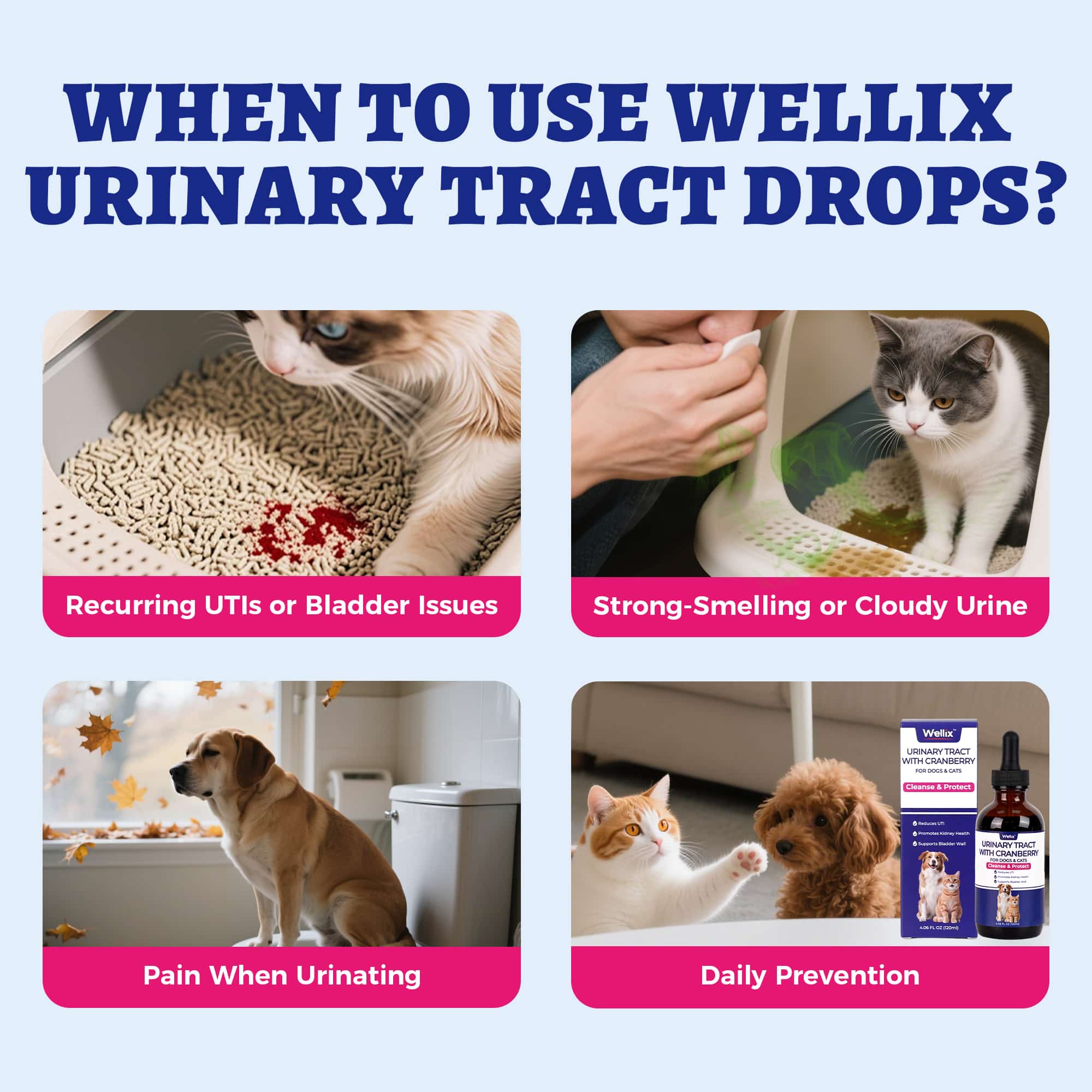 Wellix UrinaryTract Drops with Cranberry for Cats & Dogs – 4 oz Cranberry & D-Mannose for Urinary, Bladder & Kidney Health-CritterCorner