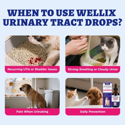 Wellix UrinaryTract Drops with Cranberry for Cats & Dogs – 4 oz Cranberry & D-Mannose for Urinary, Bladder & Kidney Health-CritterCorner
