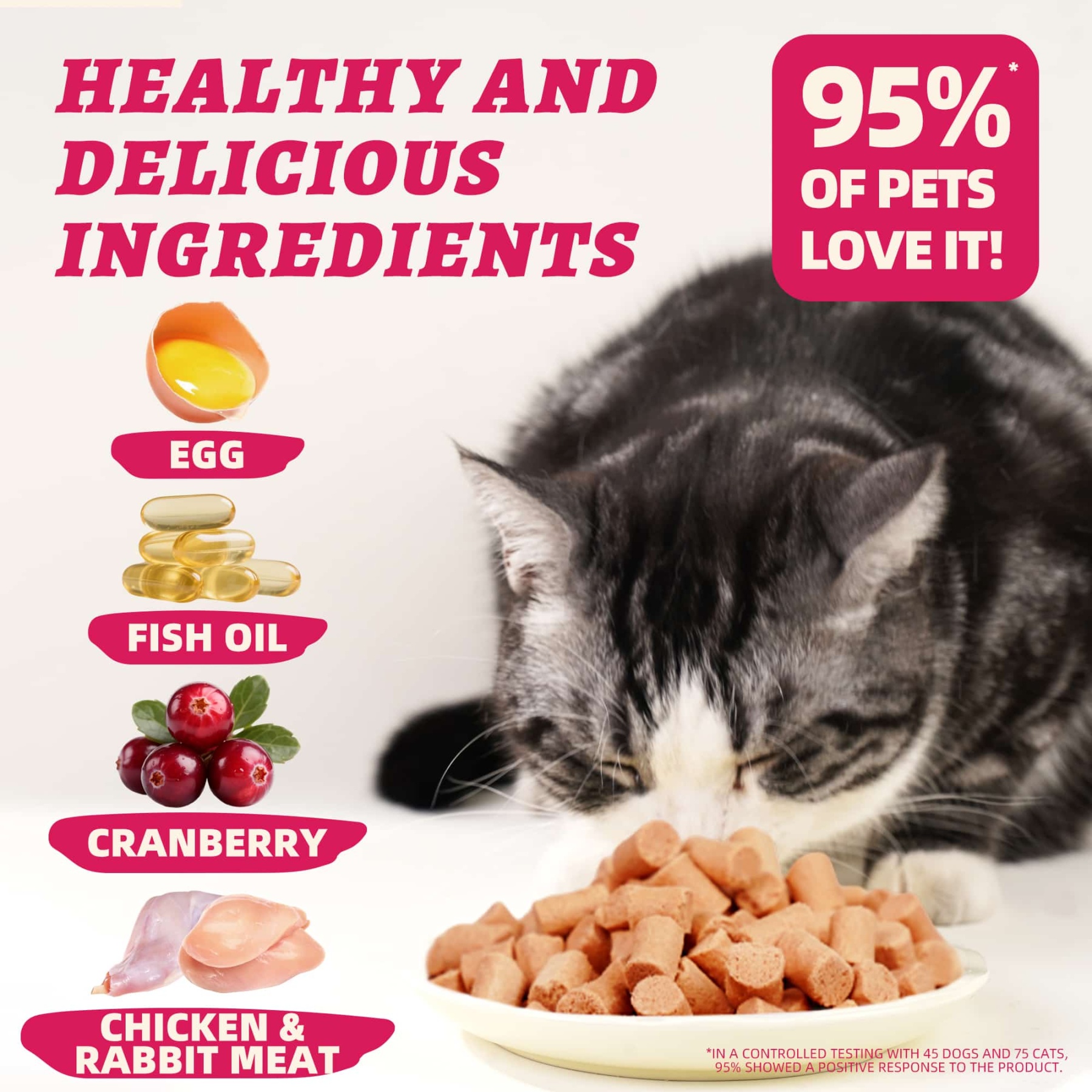 Wellix Rabbit & Cranberry Freeze-Dried Treats for Cats & Dogs – Hypoallergenic, Grain-Free Treats for Cat Bladder, Kidney & UTI Support-CritterCorner